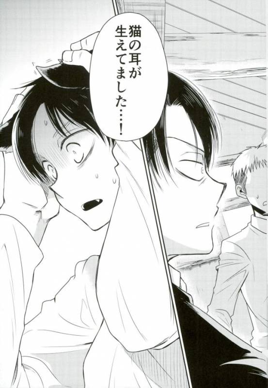 (C91) [Sonic (PANA)] Shinpei-kun ga Neko ni Narimashite (Shingeki no Kyojin)_03