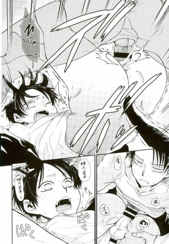 (C91) [Sonic (PANA)] Shinpei-kun ga Neko ni Narimashite (Shingeki no Kyojin)_20