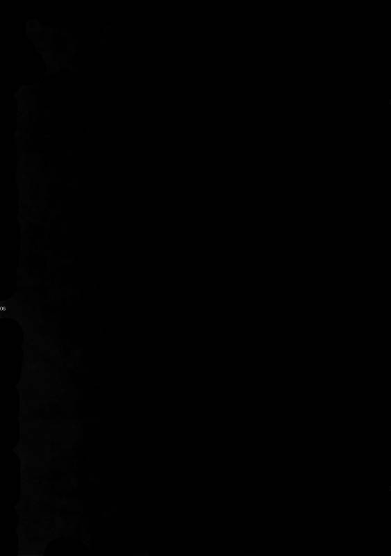 (C92) [Crazy9 (Ichitaka)] Hitodenashi no Koi (FateGrand Order)_03