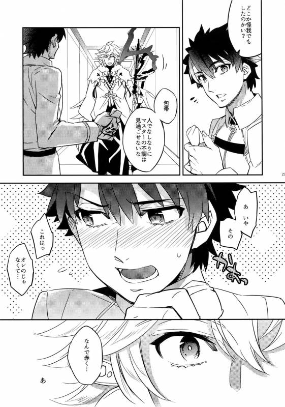 (C92) [Crazy9 (Ichitaka)] Hitodenashi no Koi (FateGrand Order)_26