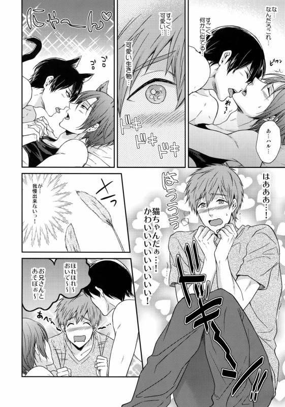 (C92) [Karaage Of The Year (Karaage Muchio)] Otonamuke Free! no Freedom na Matome (Free!)_036