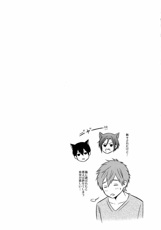 (C92) [Karaage Of The Year (Karaage Muchio)] Otonamuke Free! no Freedom na Matome (Free!)_049
