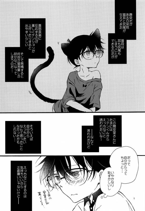 (C93) [Jagaimo Potato (Suehiro Yoshiyuki)] Kimi wa Kawaii Boku no Kitty (Detective Conan)_03