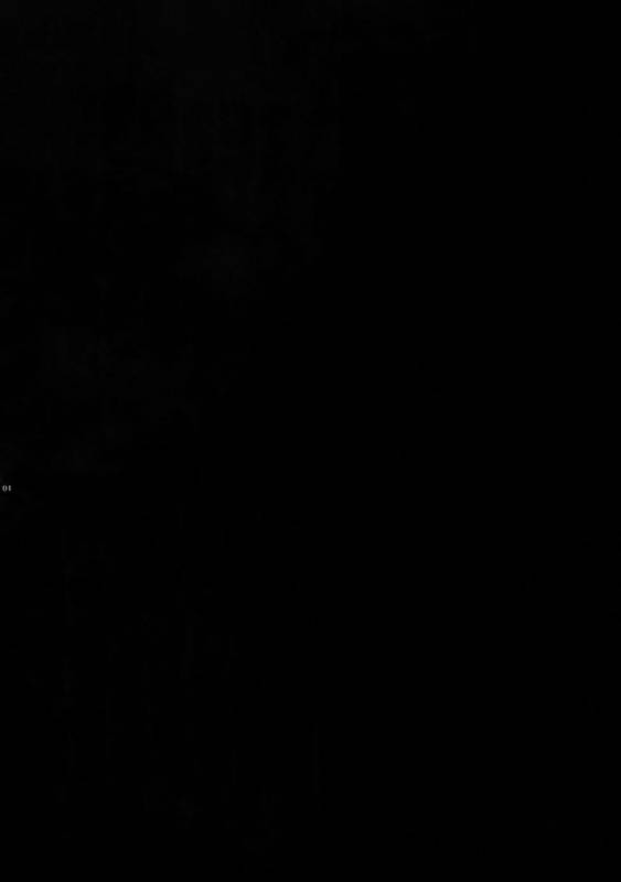 (CCTokyo141) [Crazy9 (Ichitaka)] Kin-san to Hime Hajime (FateGrand Order)_02