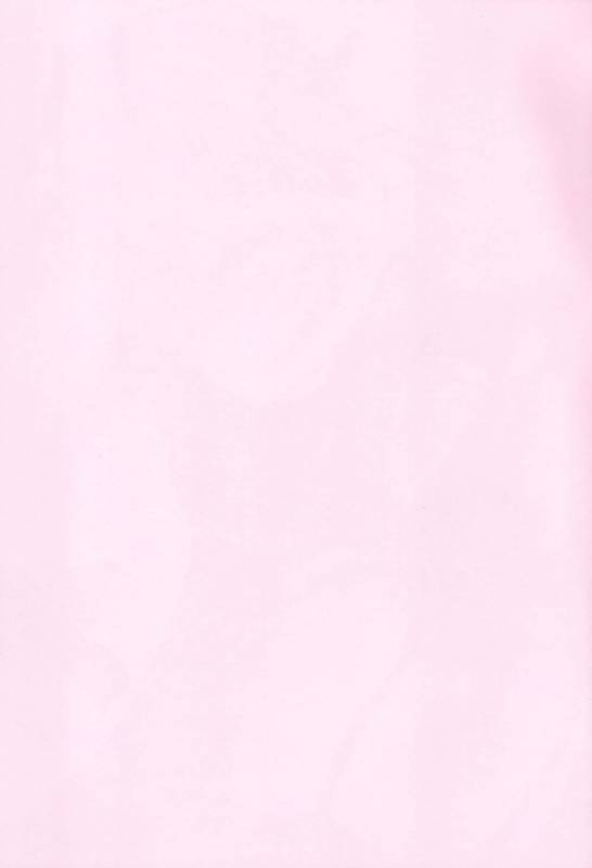 (CT31) [Brand Nyu (Nyu)] Risei Jouhatsu Astolfo (FateGrand Order)_02