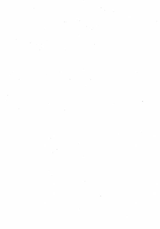 (Challe! 10) [Peko Renmei (Aquajet Kosuke)] Shuugeki Flare Dan! Torawarenomi Satoshi! (Pokemo_02