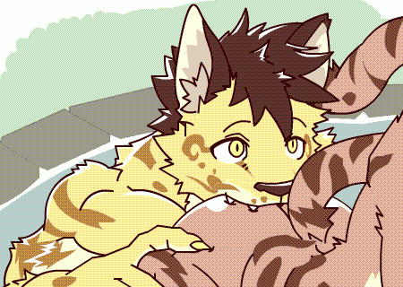 kumak+kumak71395+nomlikulau+shu-chia55bae770c2194bcd1200bfec6ac151d