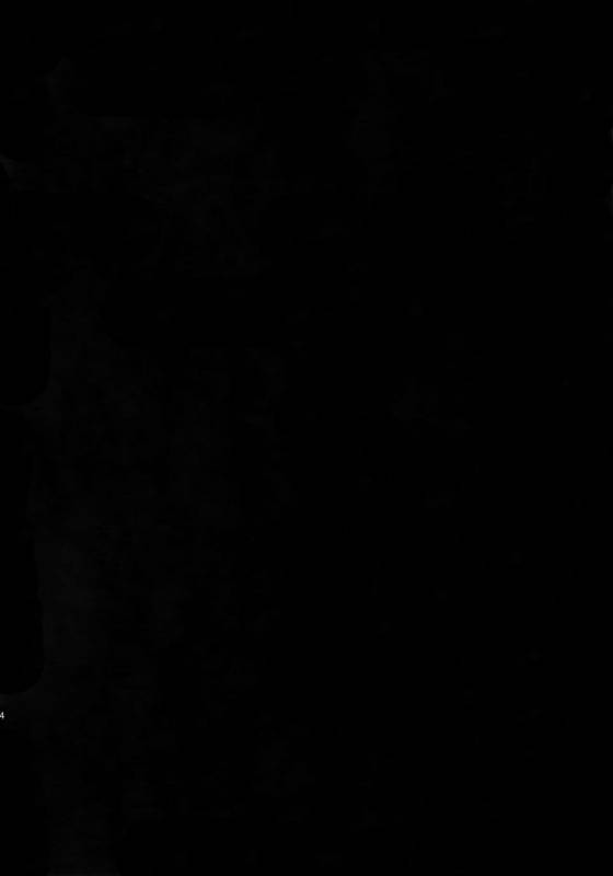 (Dai 2 Kai Hekigai Chousa Haku) [Crazy9 (Ichitaka)] [DOGS] Sairoku (Shingeki no Kyojin)_001