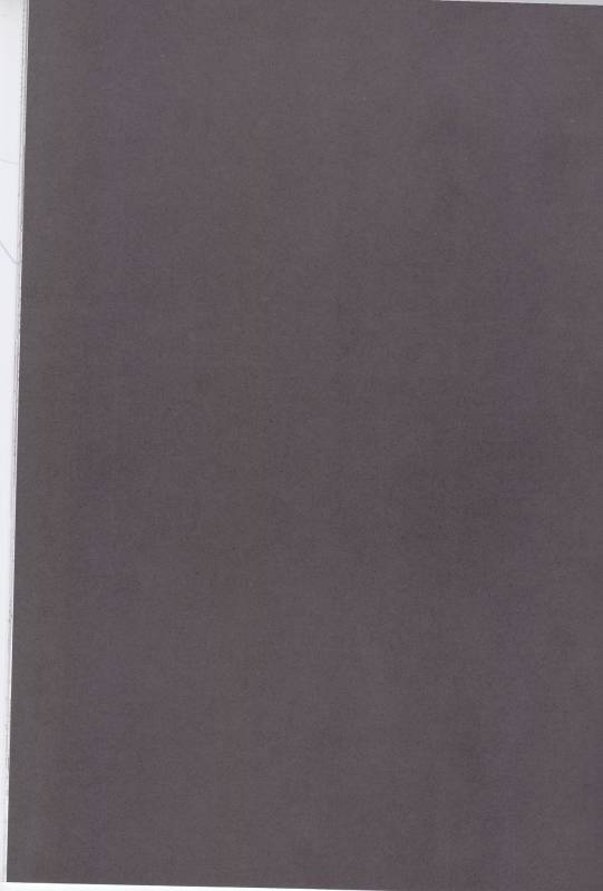 (Douyara Deban no Youda! 6) [Himatsubushiken (Yui)] Neko Wazurai (Boku no Hero Academia)_21