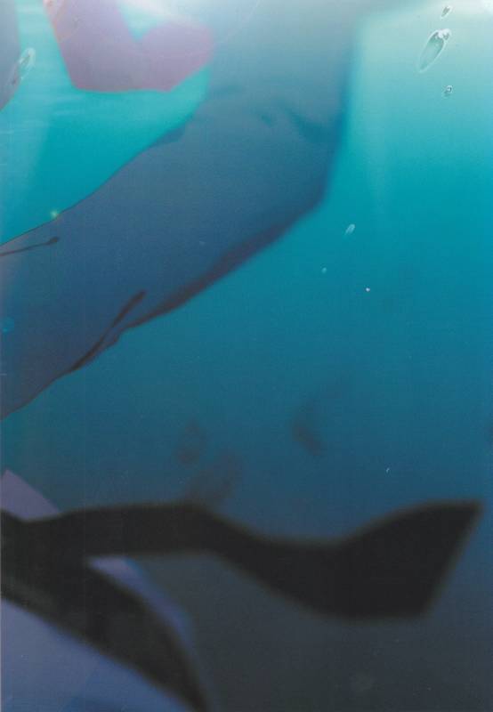 (Douyara Deban no Youda! 8) [Fuzainoyamada (Fuzai Yumoto)] MAYDAY (Boku no Hero Academia)_36