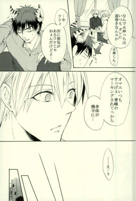 (HaruCC21) [Cutie★Complex (Hatsuka)] Neko no Kimochi 3 (Kuroko no Basuke)_04