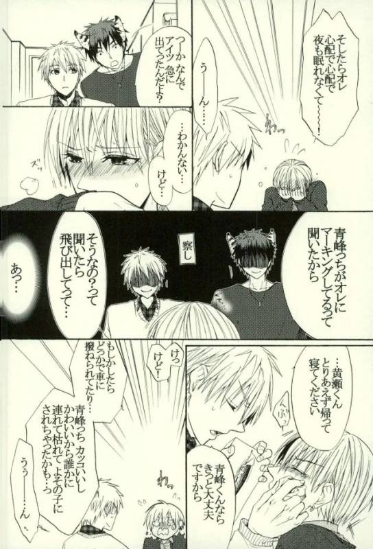 (HaruCC21) [Cutie★Complex (Hatsuka)] Neko no Kimochi 3 (Kuroko no Basuke)_09