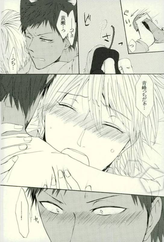 (HaruCC21) [Cutie★Complex (Hatsuka)] Neko no Kimochi 3 (Kuroko no Basuke)_17