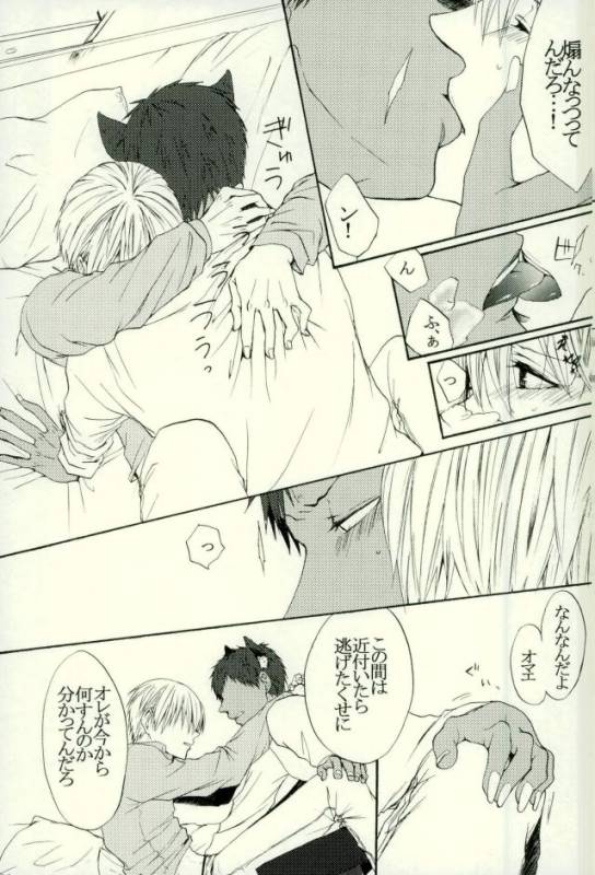 (HaruCC21) [Cutie★Complex (Hatsuka)] Neko no Kimochi 3 (Kuroko no Basuke)_22