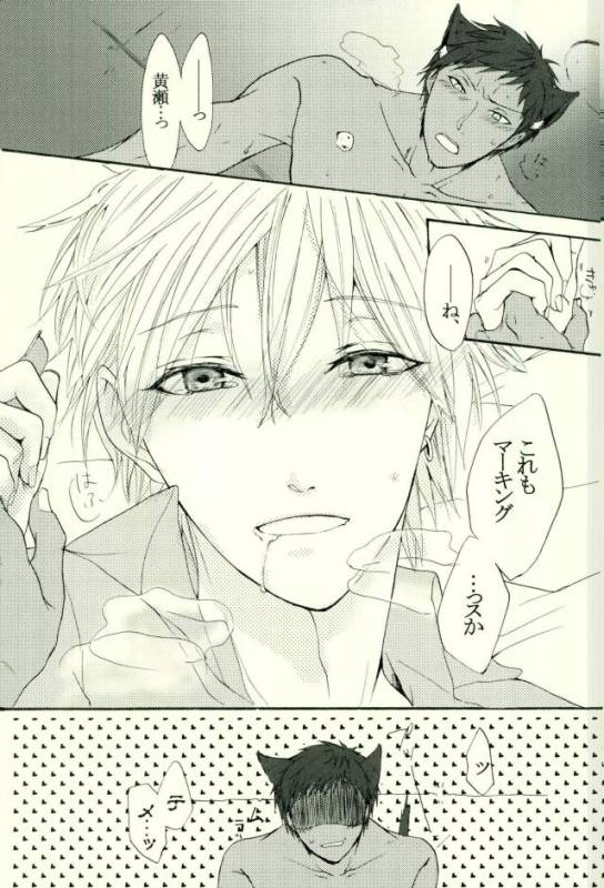 (HaruCC21) [Cutie★Complex (Hatsuka)] Neko no Kimochi 3 (Kuroko no Basuke)_26