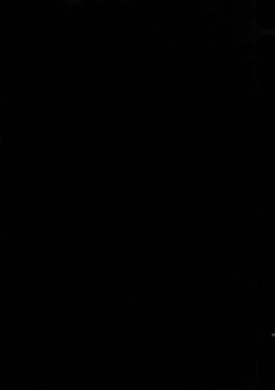 (HaruCC22) [Crazy9 (Ichitaka)] Gainen Reisou wa Kiniro no Yume o Miru 4 (FateGrand Order)_01