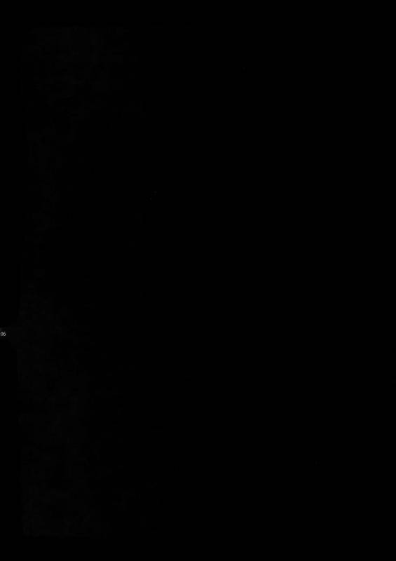 (HaruCC22) [Crazy9 (Ichitaka)] Gainen Reisou wa Kiniro no Yume o Miru 4 (FateGrand Order)_03