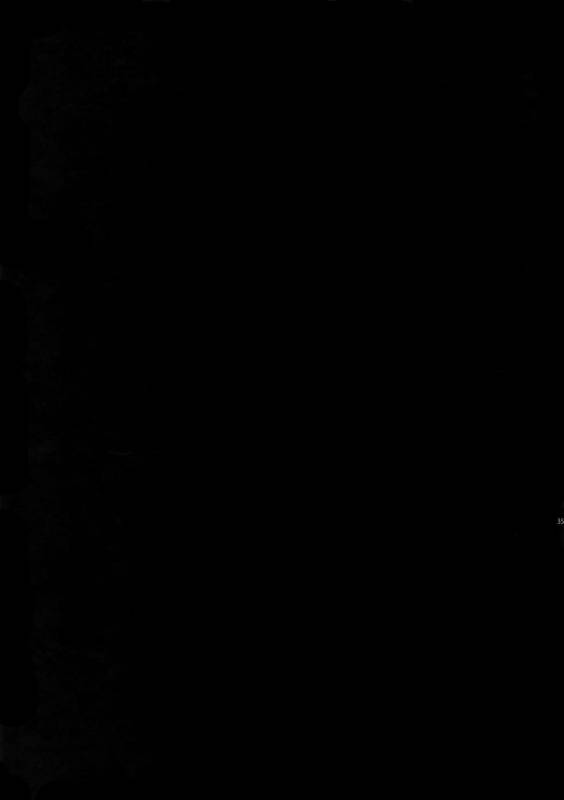 (HaruCC22) [Crazy9 (Ichitaka)] Gainen Reisou wa Kiniro no Yume o Miru 4 (FateGrand Order)_32