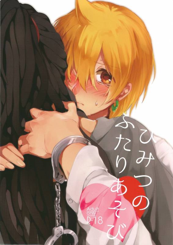 (Meikyuu Tanbou 2) [IORIAM (Mizuno)] Himitsu no Futari Asobi (Magi The Labyrinth of Magic)_00