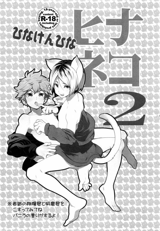 (RTS!!5) [Chigen TORINO (Kosugi)] Hina Neko 2 (Haikyuu!!)_01