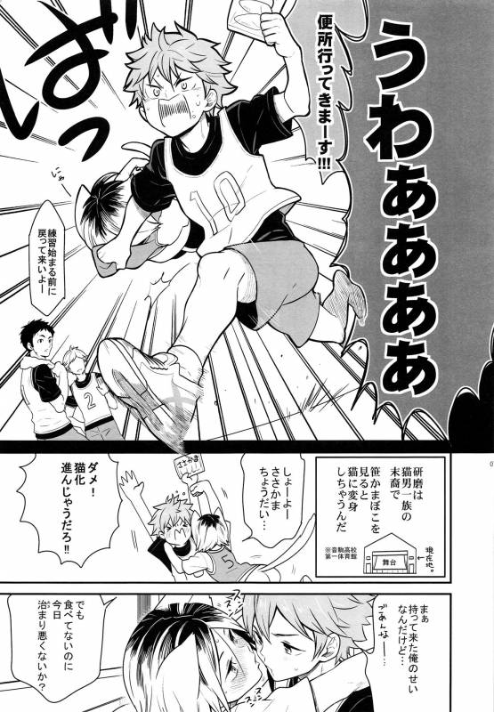 (RTS!!5) [Chigen TORINO (Kosugi)] Hina Neko 2 (Haikyuu!!)_05