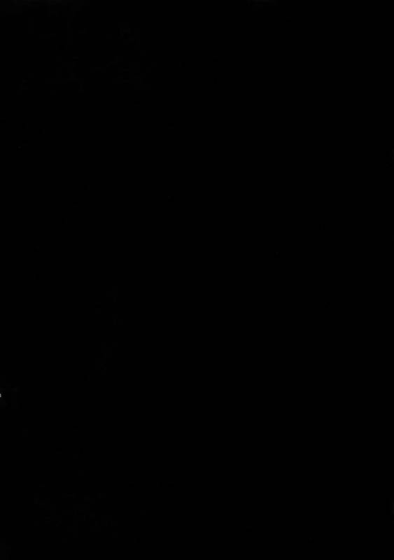 (SUPER24) [Crazy9 (Ichitaka)] Aru Daikousha no Shuki 2 (FateZero)_01