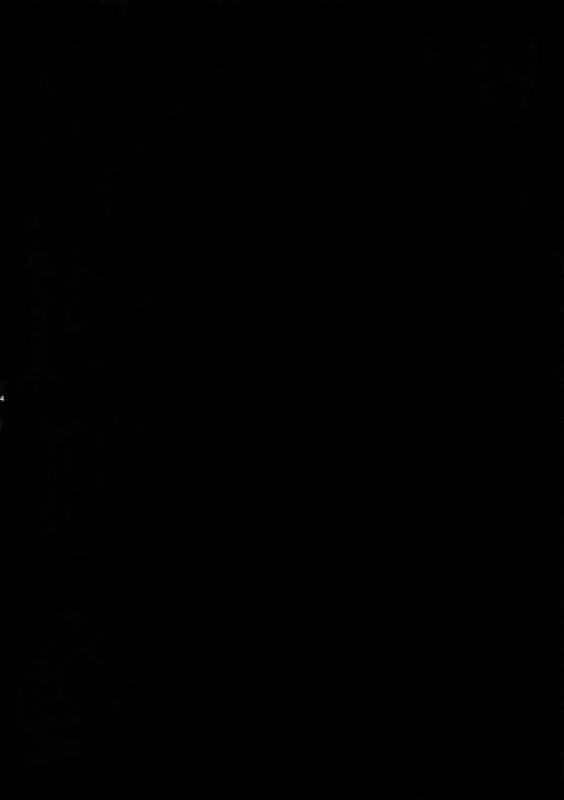 (SUPERKansai23) [Crazy9 (Ichitaka)] Kenou-sama, Oshiri no Renshuu Dekiru ka na (FateGrand Order)_01