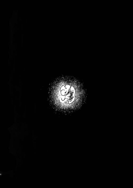 (Sennen Battle in Osaka 8) [Sukidarake (Fukuzawa Yukine)] Shakunetsu no Yousui Suinan no Sou_22