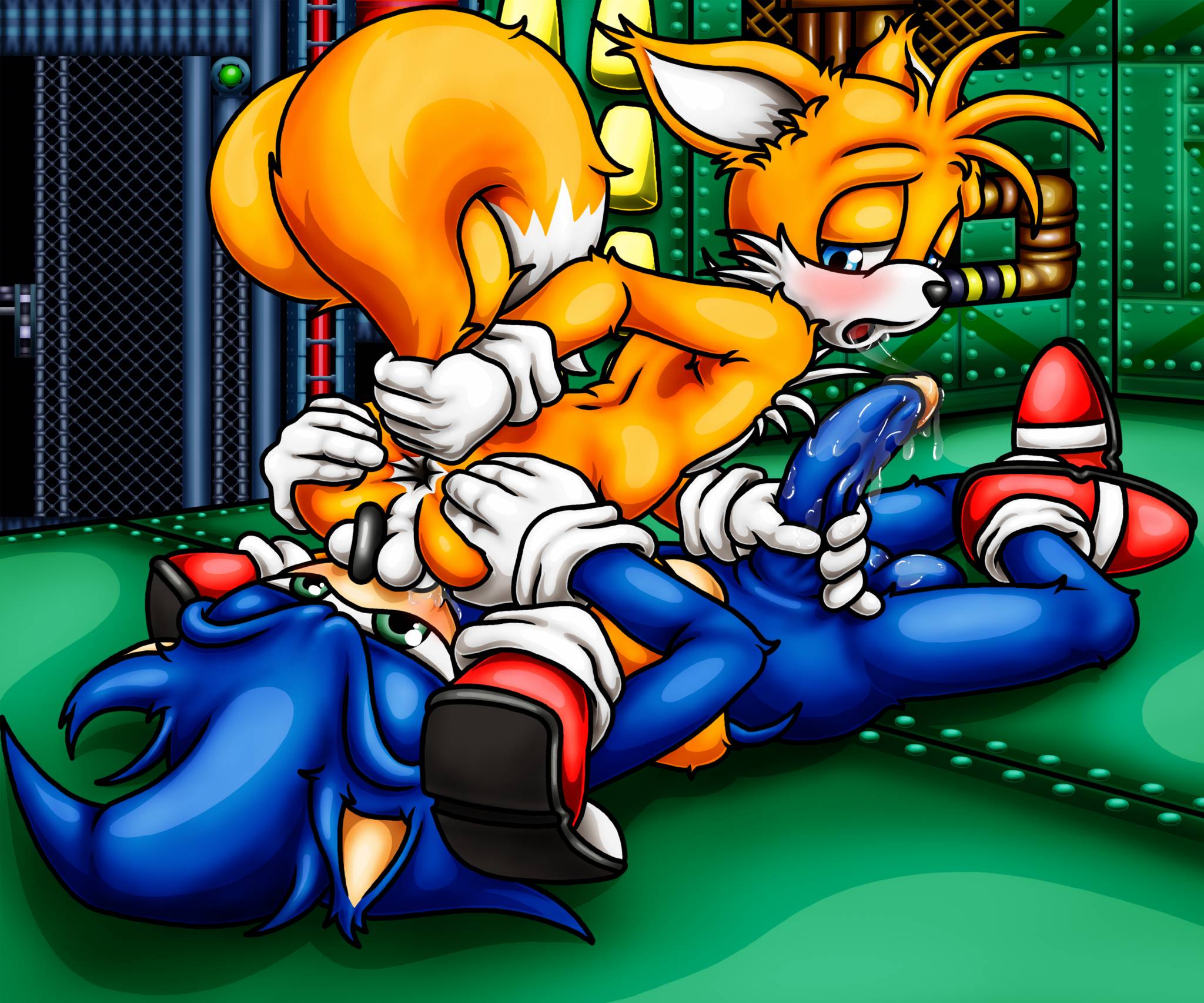 sonic the hedgehog+tails.