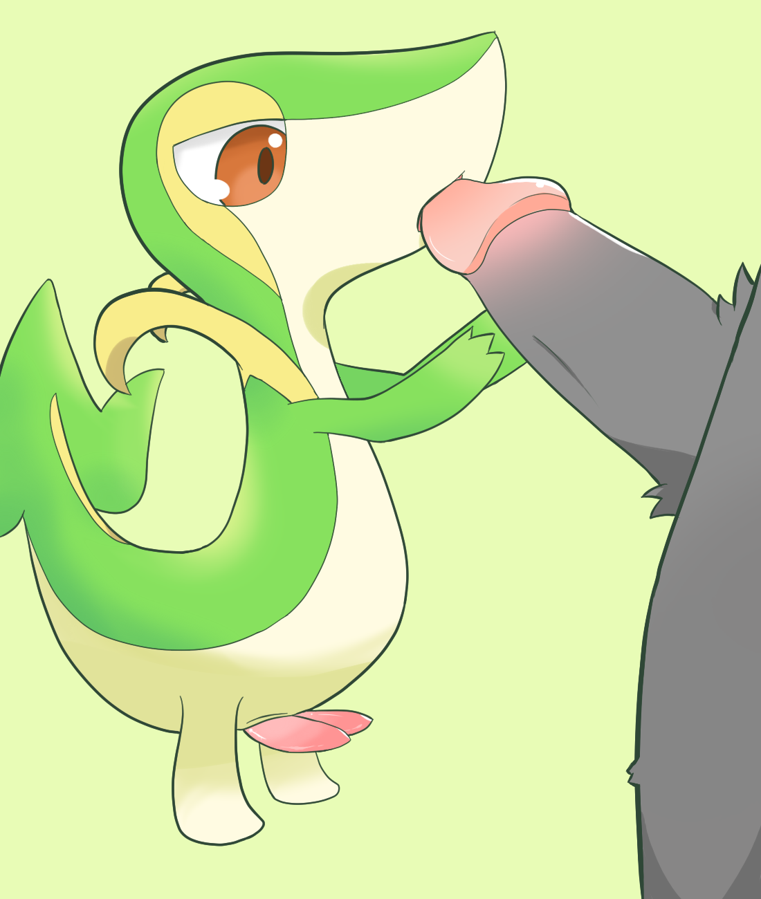 snivy.