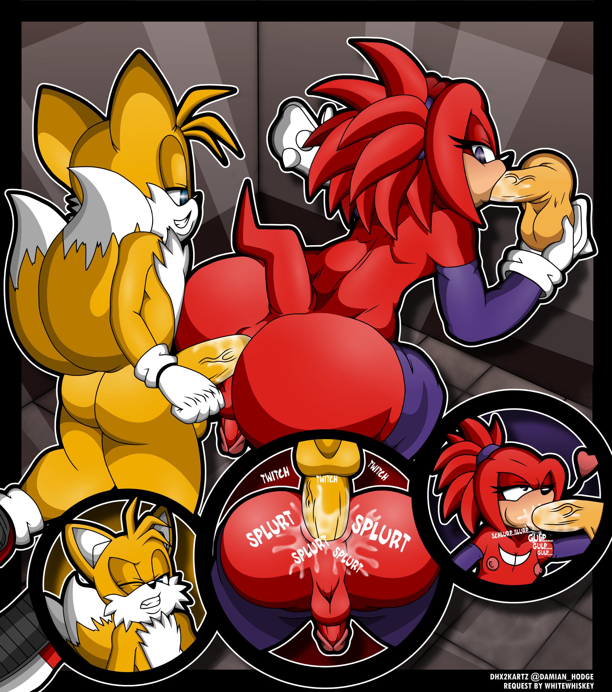knuckles the echidna+tails.