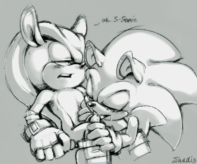mighty the armadillo+sonic the hedgehog