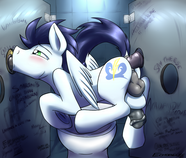 soarin (mlp)+wonderbolts (mlp)