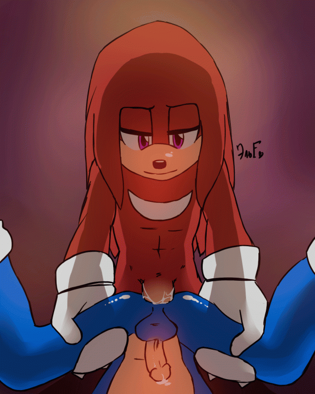 knuckles the echidna+sonic the hedgehog