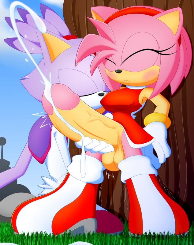 amy rose+blaze the cat