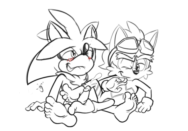 elias acorn+silver the hedgehog