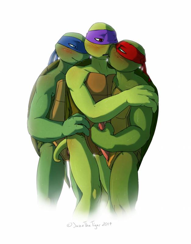 donatello (tmnt)+leonardo (tmnt)+raphael (tmnt)