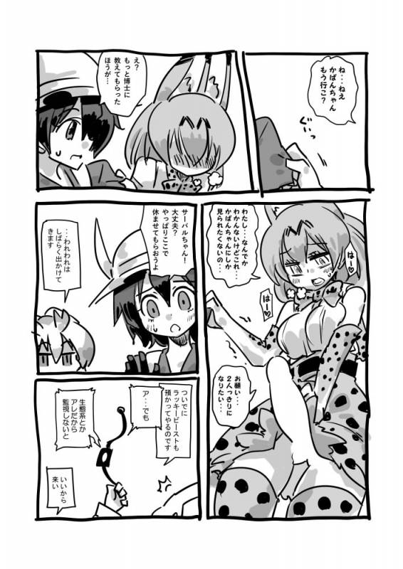 kaban (kemono friends)+lucky beast (kemono friends)+northern white-faced owl (kemono friends)+serval (kemono friends)