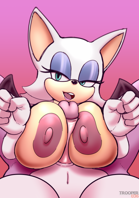 blaze the cat+rouge the bat