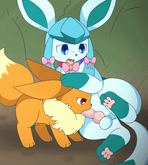 eevee+glaceon