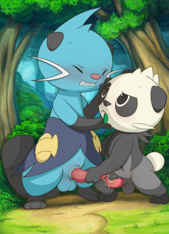 dewott+pancham