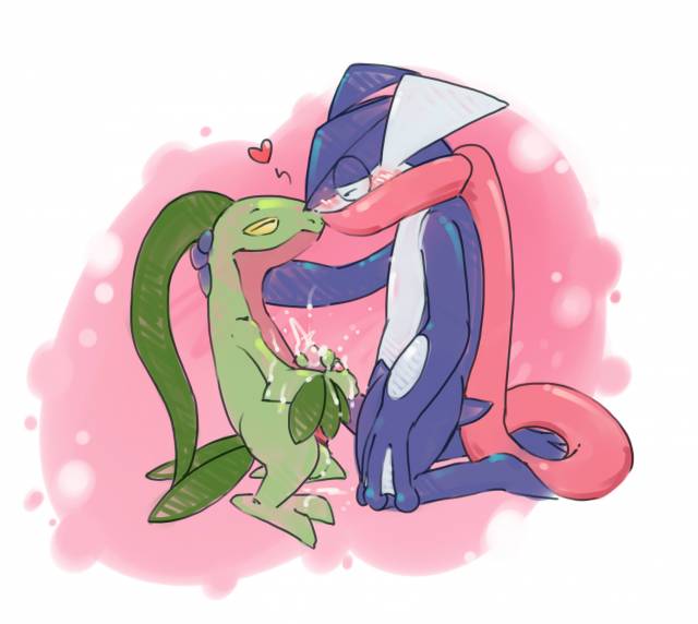 greninja+grovyle