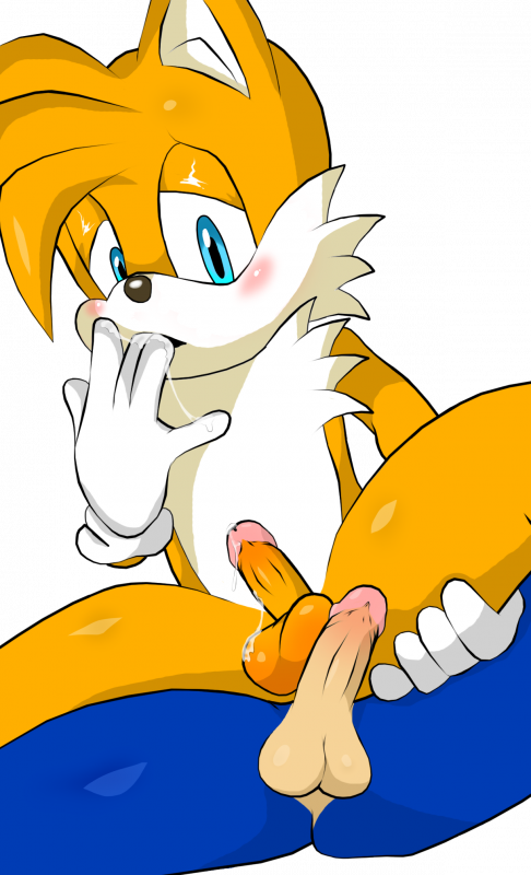 sonic the hedgehog+tails