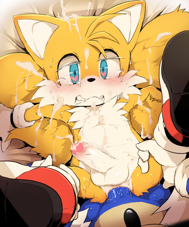 sonic the hedgehog+tails