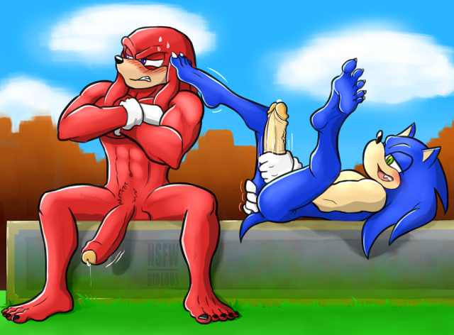 knuckles the echidna+sonic the hedgehog