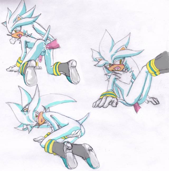 silver the hedgehog