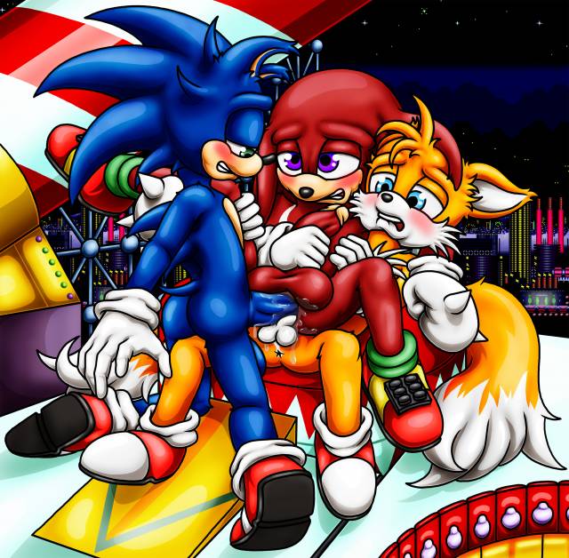 knuckles the echidna+sonic the hedgehog+tails