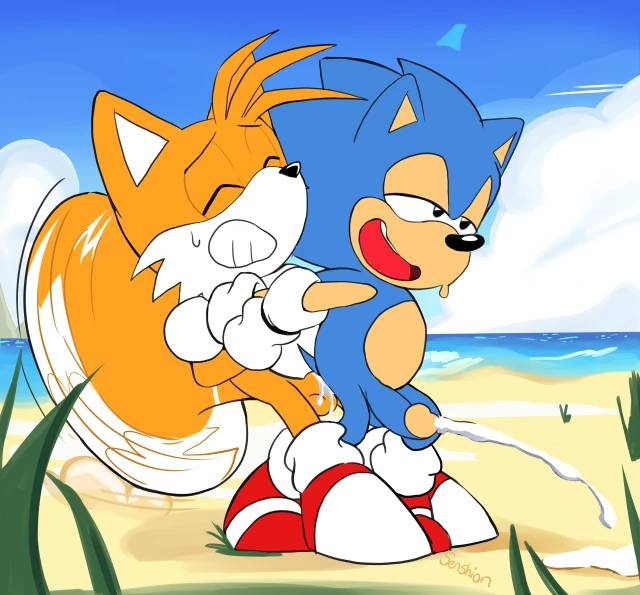 sonic the hedgehog+tails