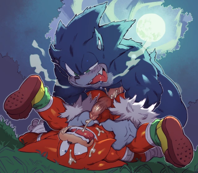 knuckles the echidna+sonic the hedgehog+sonic the werehog
