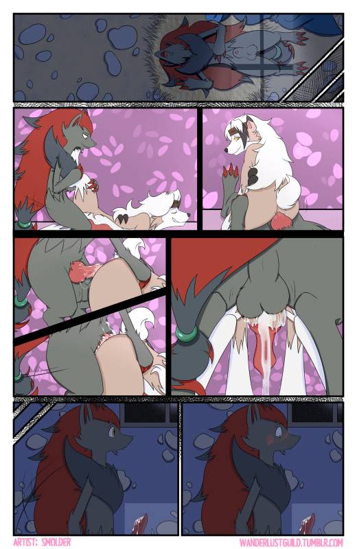 lycanroc+midnight lycanroc+original character+zoroark